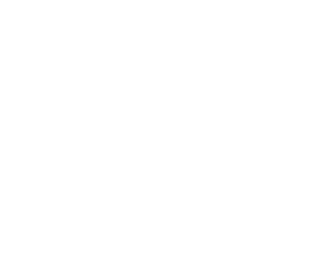 Dream Spot Studio